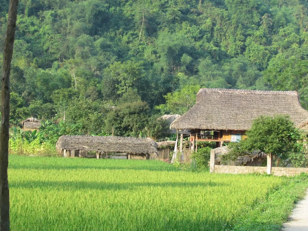 Ba Be Lake View Homestay