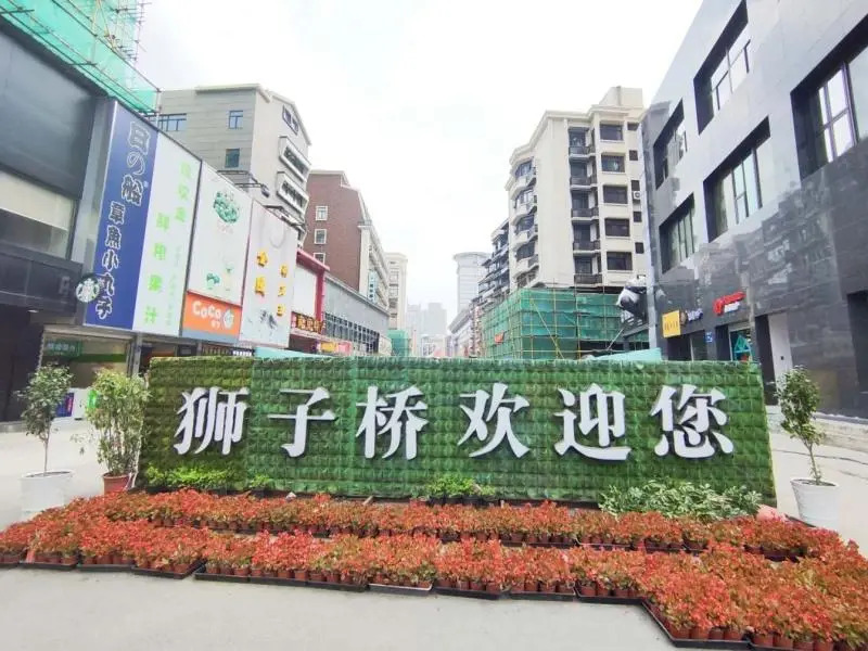 Green Tree Inn Nanjing Zhongda Hospital Shizi Bridge Pedestrian Street