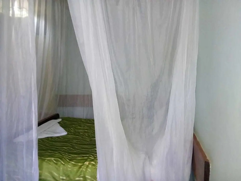 Hotel Eel