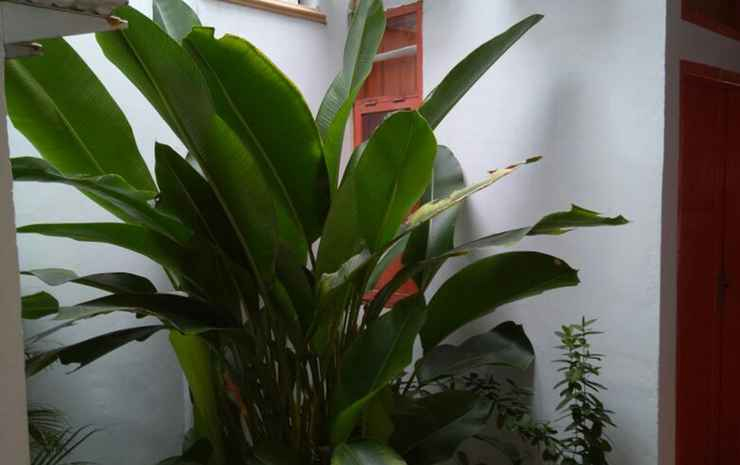 Wisma Reyhan 1