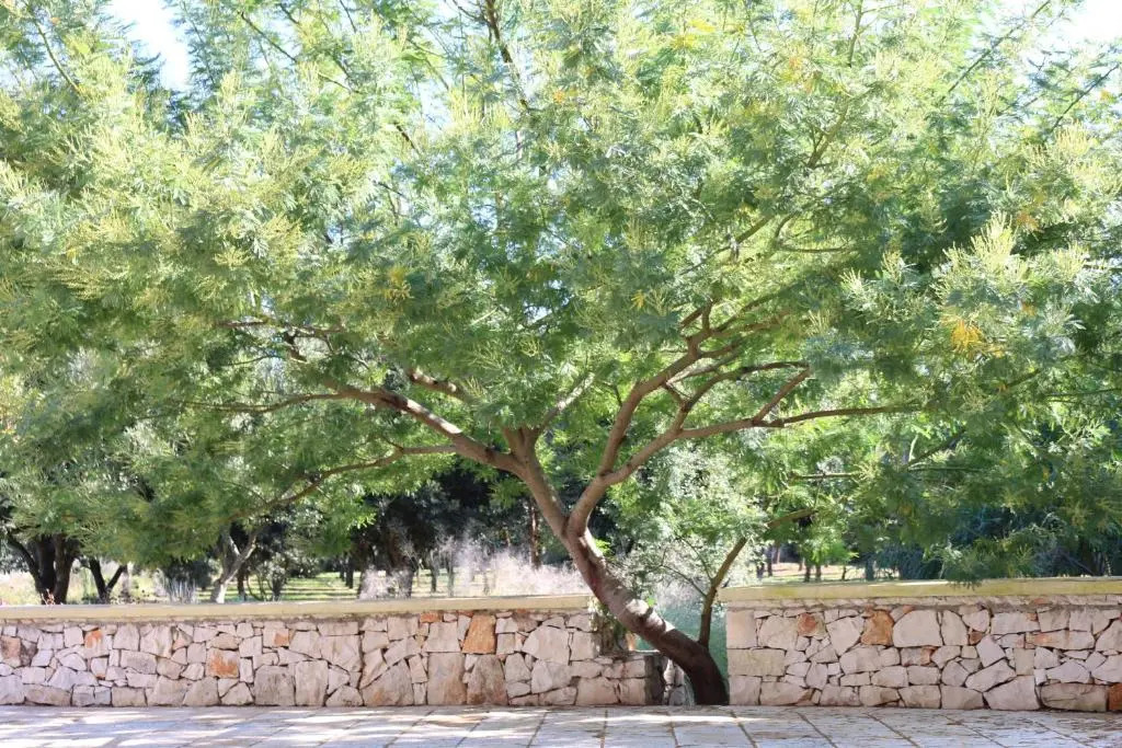 Agriturismo Puntarelle