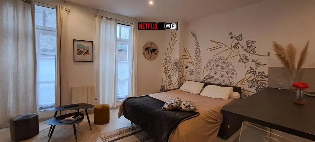Les Arcades Studio Coeur de Ville, Cholet, Wi-fi, Netflix, Canal+