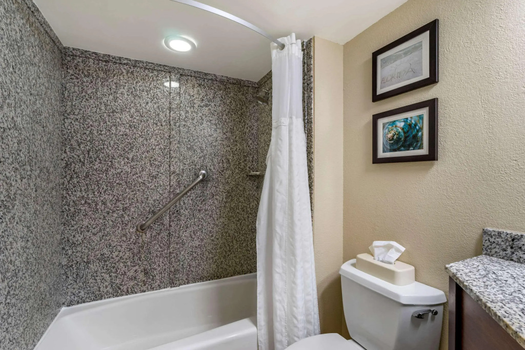 Comfort Inn & Suites St Pete - Clearwater International Airport