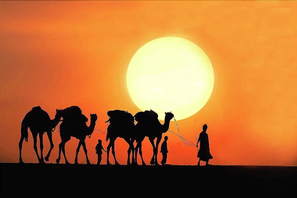 Life Solora Jaisalmer