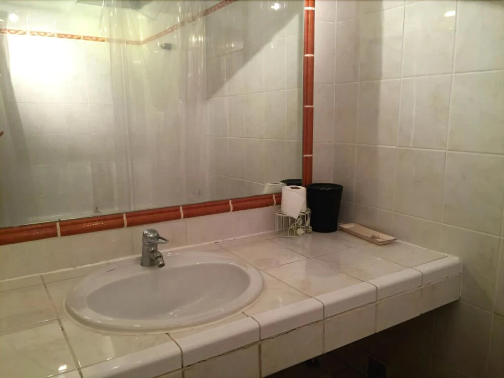 Apartment Alexandra Palace Cannes
