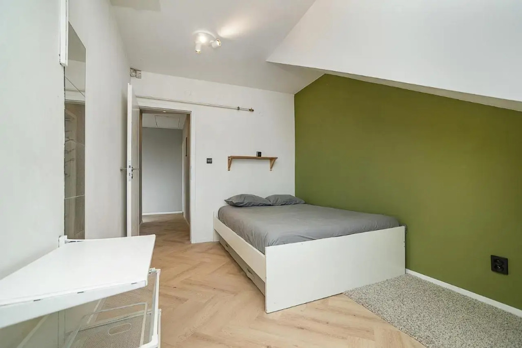 Big 4-bedroom flat, terrace with great Vítkov view
