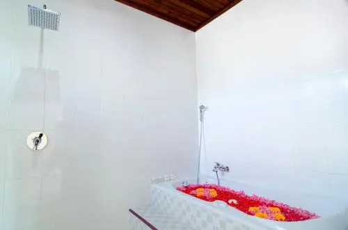 Mesari House