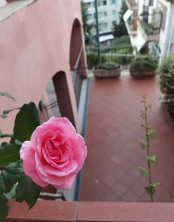 Appartamento Emma Lanusei