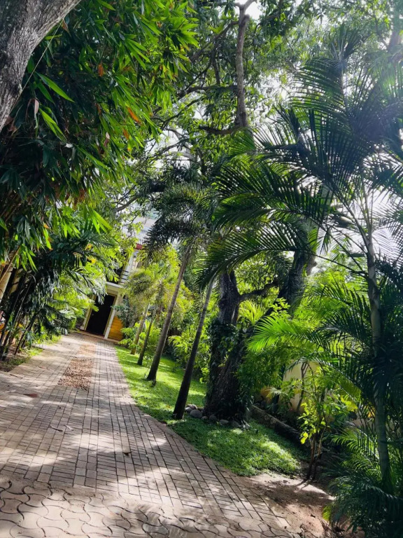 Yala Southern Homestay