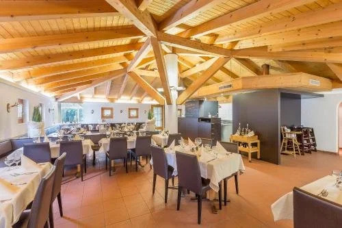 Hotel Alpina