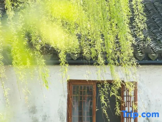 Yueshang Zen Space Homestay (Jinxi Ancient Town)