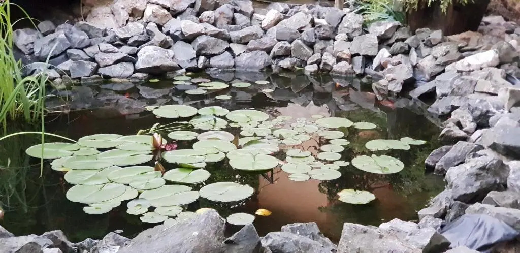 Pensiunea Edy Turda