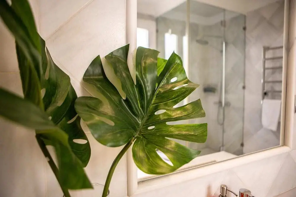 Beautiful 1 Bed Sleeps 6 W Terrace Heart of Madrid