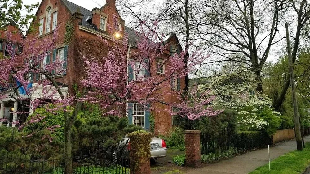 Clifford House Private Home B&B