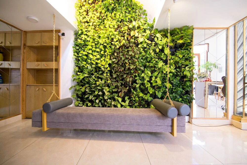Cactusland Boutique Hotel