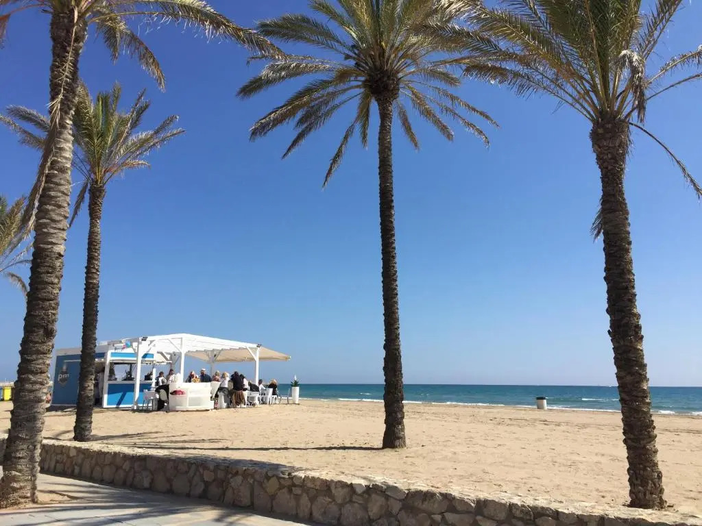 Nice apartment 80 meters from the beach