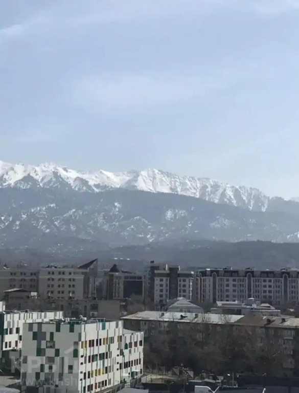 ЖК Satty