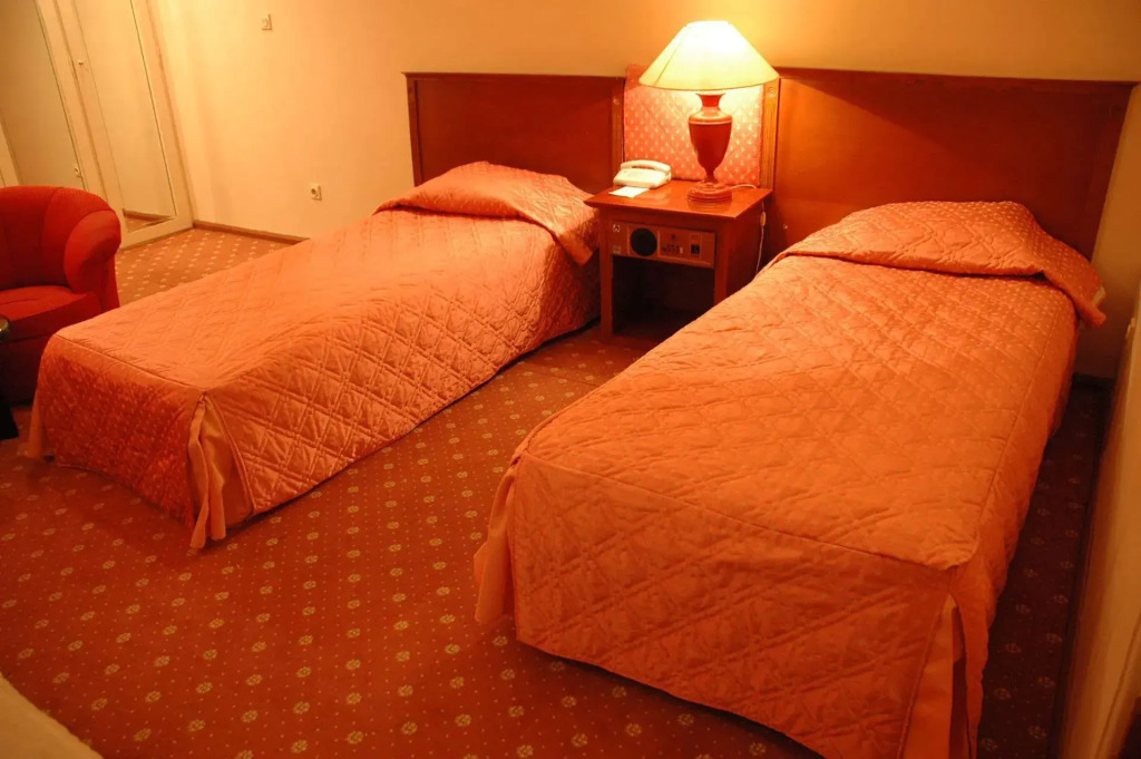 Parsian Bam Hotel