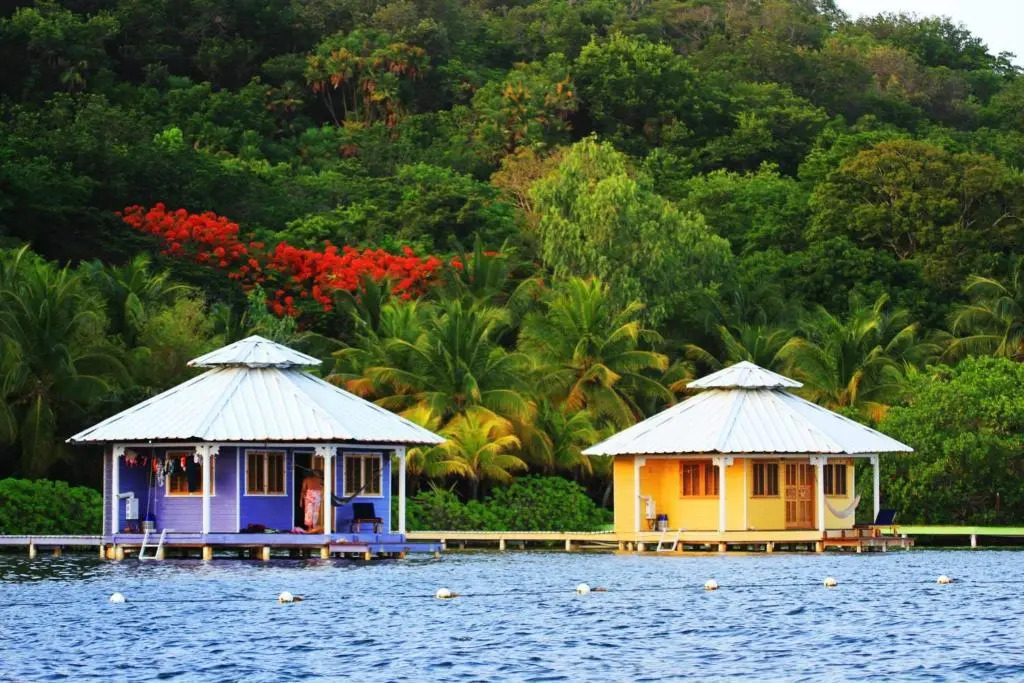Mango Creek Resort