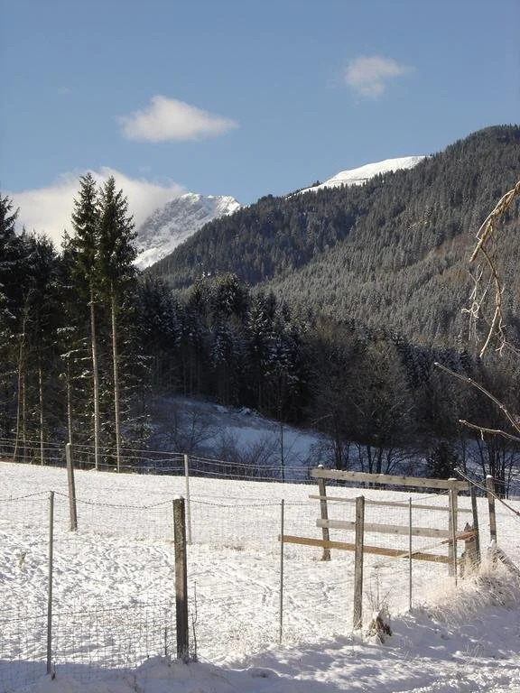 Chalet Schneerose