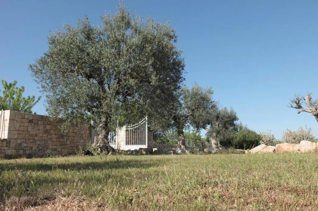 B&B Quattrolinari