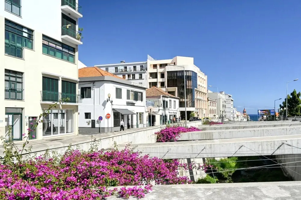 Beco Santa Emilia 2F a Home in Madeira