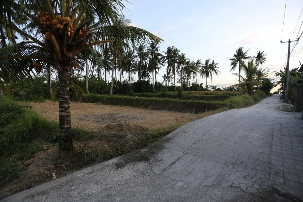 Wiki Bali