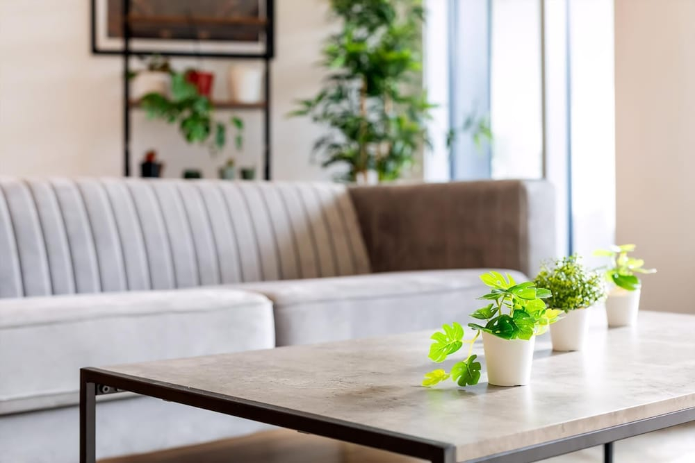 Modern Chiswick Apartment