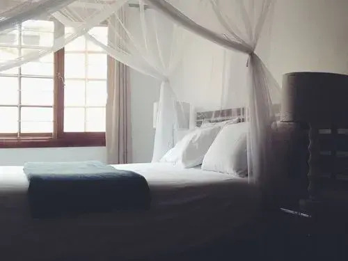 Acacia Guest House