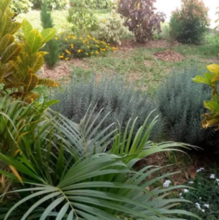 Mangalita Lodge