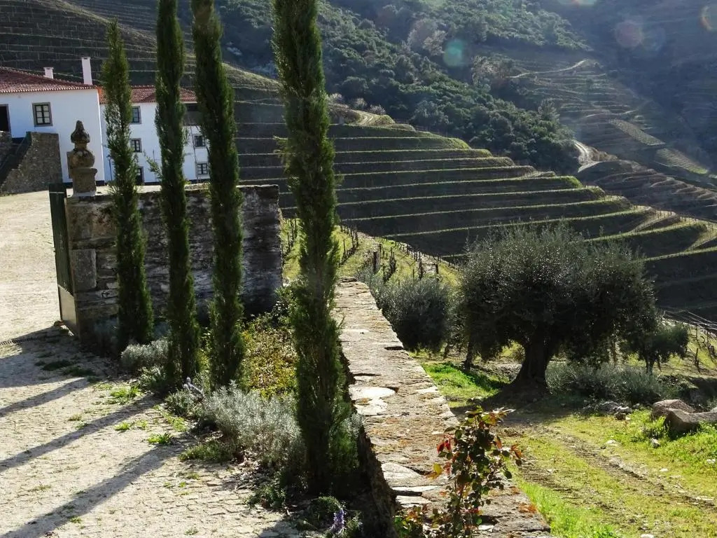 Quinta da Gricha
