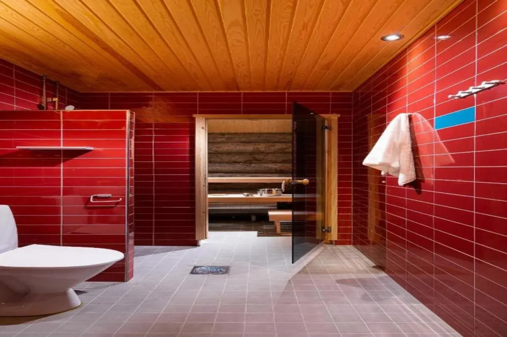 Kakslauttanen Arctic Resort - Igloos and Chalets
