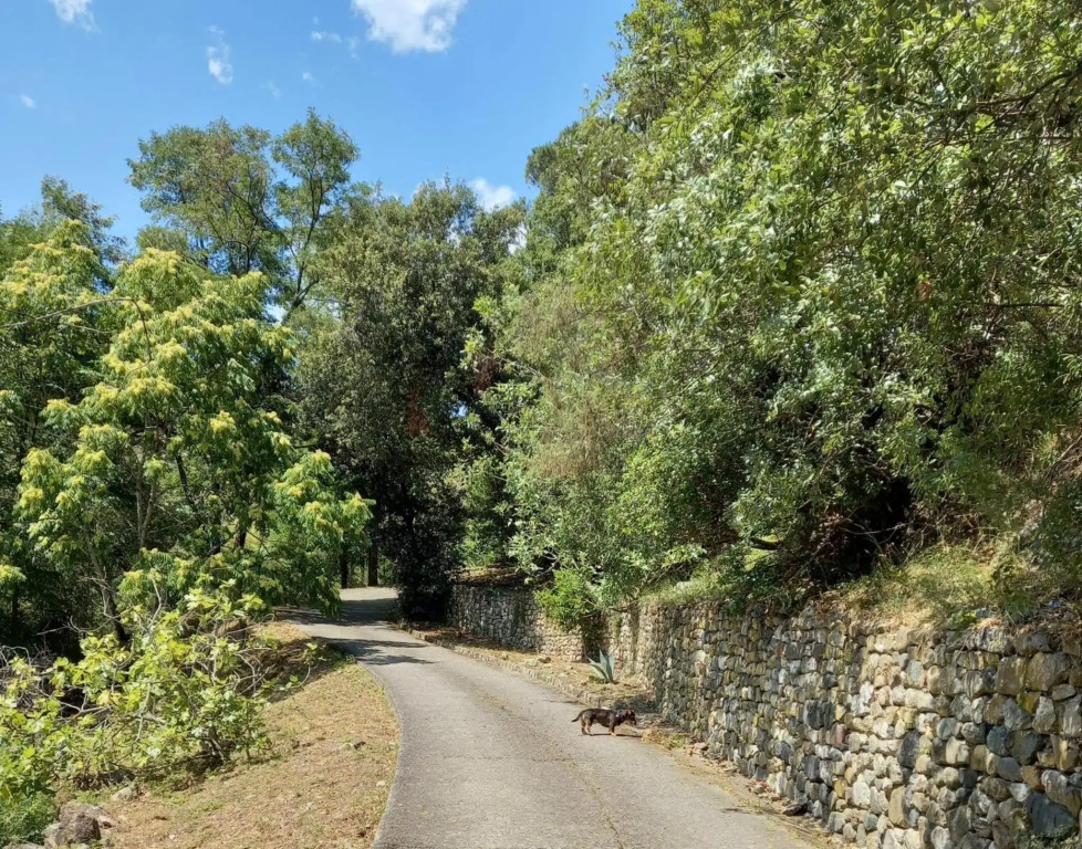 Villa ai Sugheri