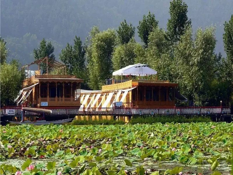 Royal Group Of Houseboats