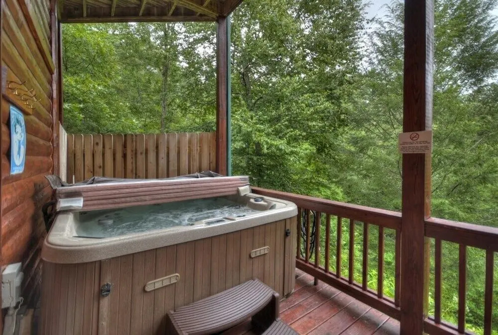 The Lone Star Cabin