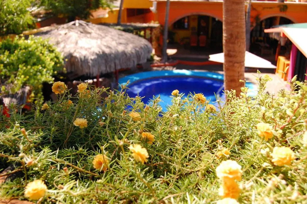 Leo's Baja Oasis