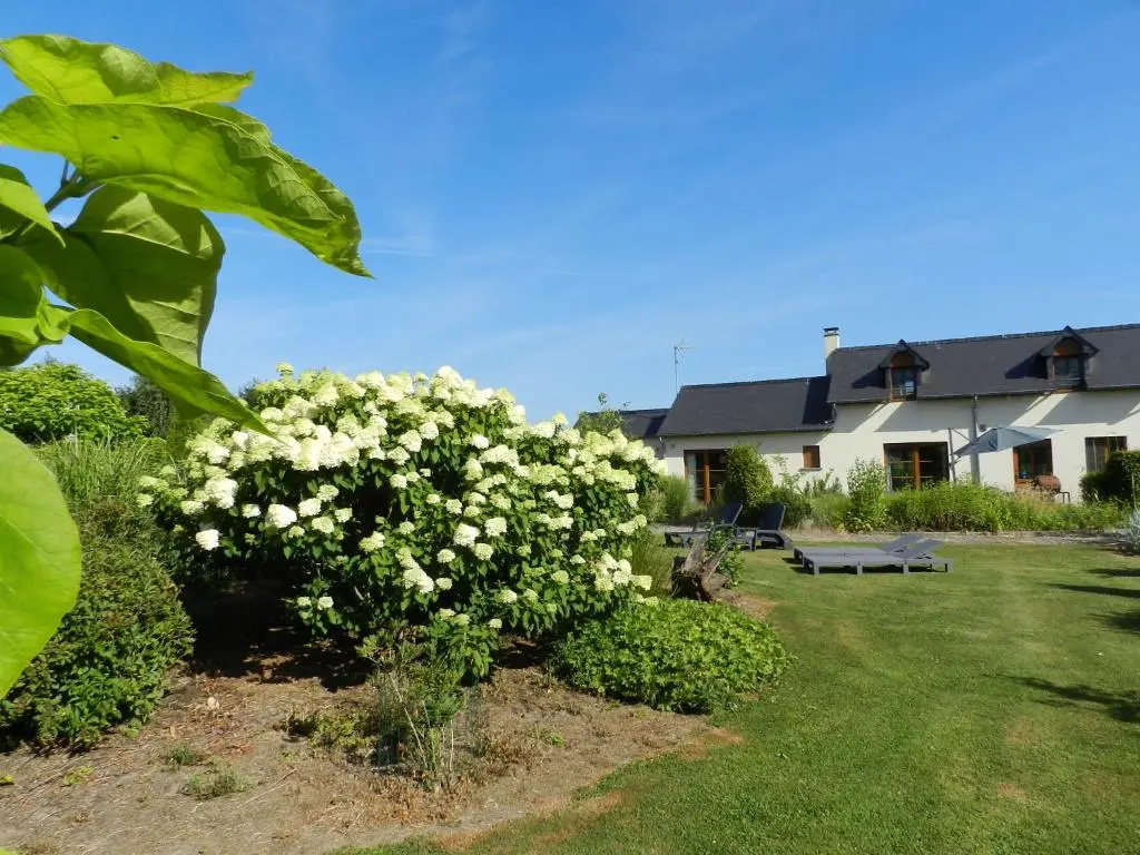 Gîte La Grenouillère