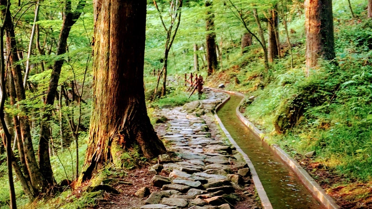 Ryori Ryokan Jumboike