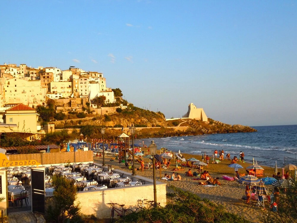 Puppy Home Two-room Apartment 100 Meters From the Beach