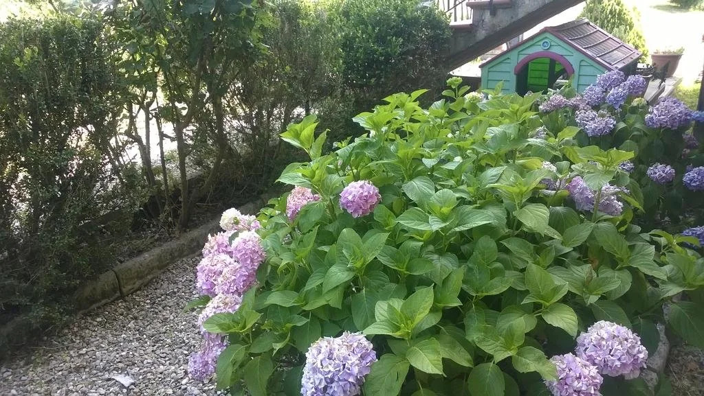 B&B Casalvento