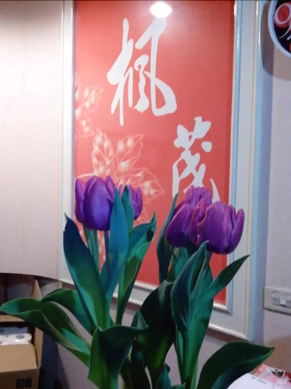 Fengmao Hotel