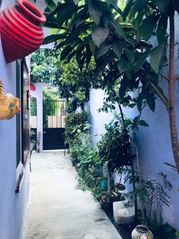 Kaya Hostal Apartments - Hostel