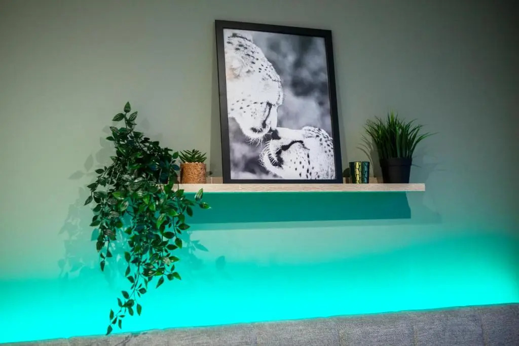 Castlefield Luxury apartment  Roof garden