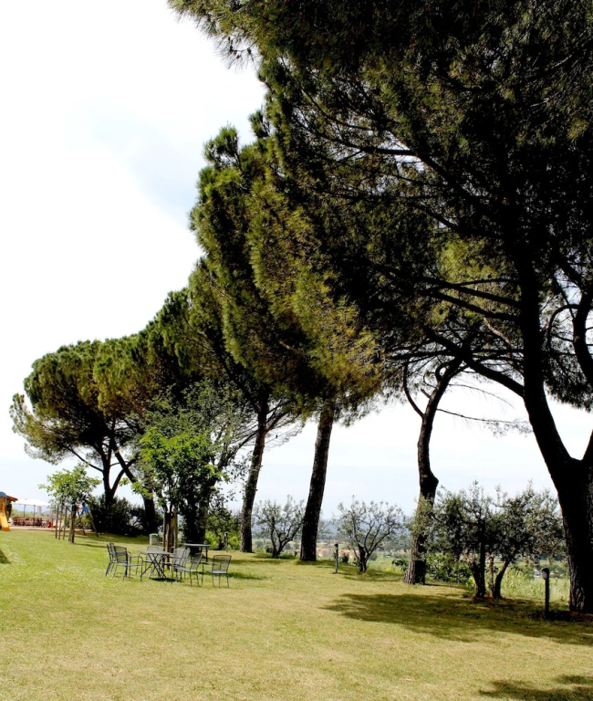 Poggio alle Vigne