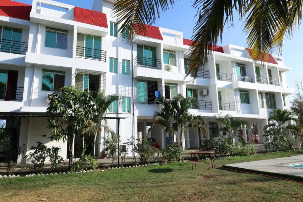 The Bliss Palm