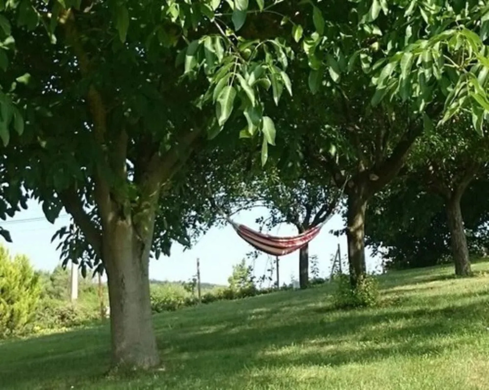 Amour Aquitaine