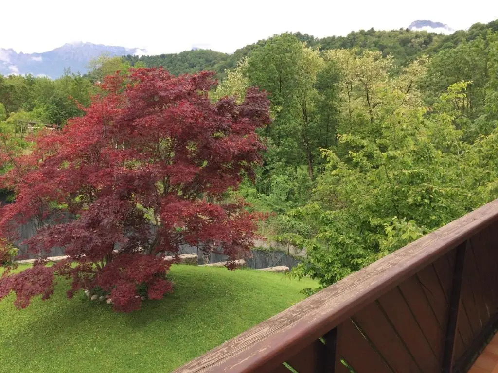 B&B La Pecora Nera