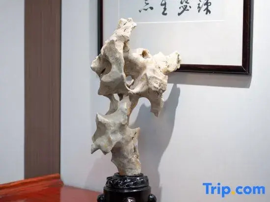 Zhixiju Pillow Water Homestay