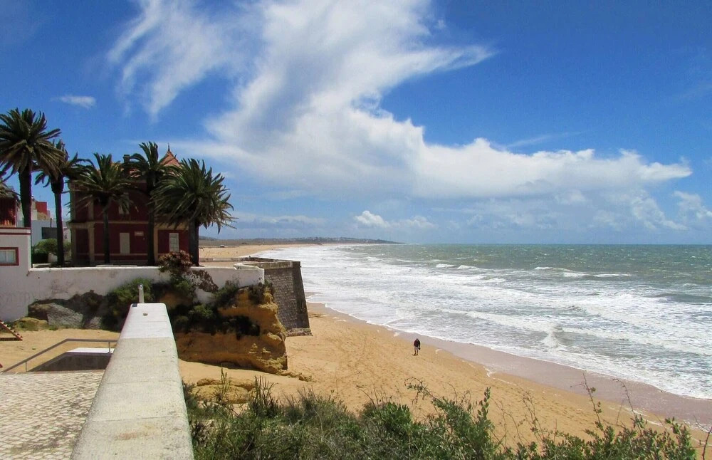 Appt The Feet In The Water - 100m From The Beach