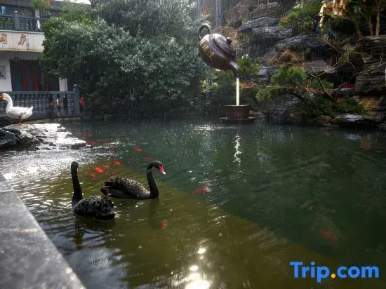 Hangzhou Tonglu Xiruida Silk Resort Hotel